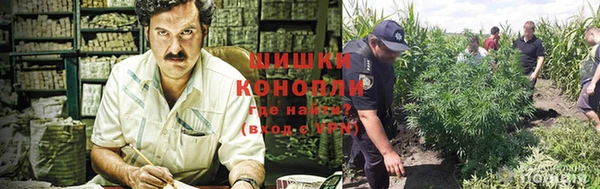 mix Богородицк